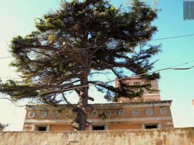 San Girolamo, Villa Rosa rivedr� la luce